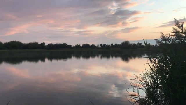 Рыбалка на Мертвом Донце, рыбалка на карася, фидер смотреть онлайн