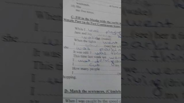 11/12 worksheet Simple Past/Past Continuous When - While смотреть онлайн