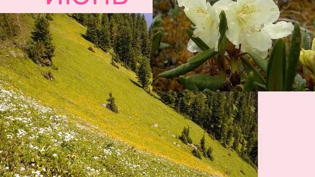 Презентация для детей. 12 месяцев смотреть онлайн