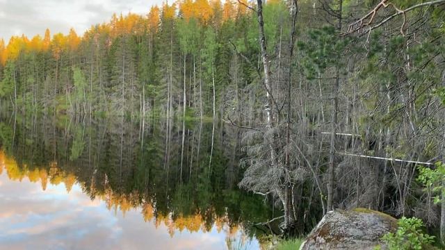 Карелия Радоновое озеро смотреть онлайн