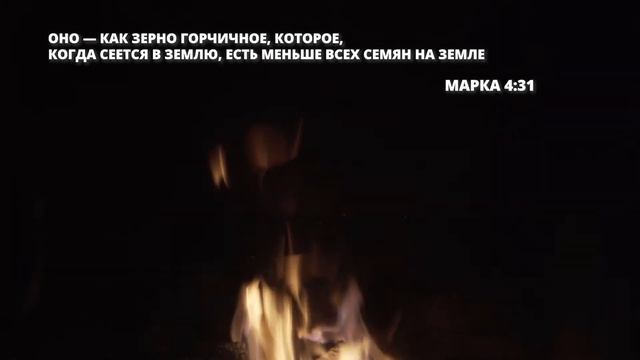 Горчичное зерно смотреть онлайн