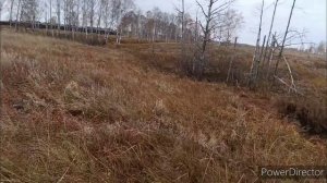 ОХОТА НА КУРОПАТКУ! ГДЕ ИСКАТЬ?