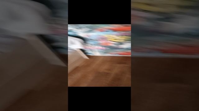 кот обормот