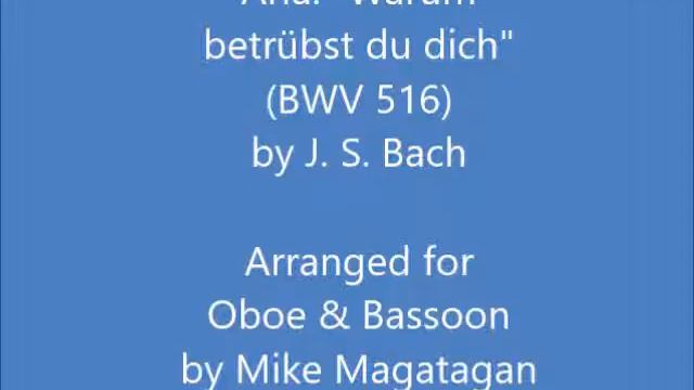 Aria: "Warum betrübst du dich und beugest dich zur Erden" (BWV 516) for Oboe & Bassoon смотреть онлайн