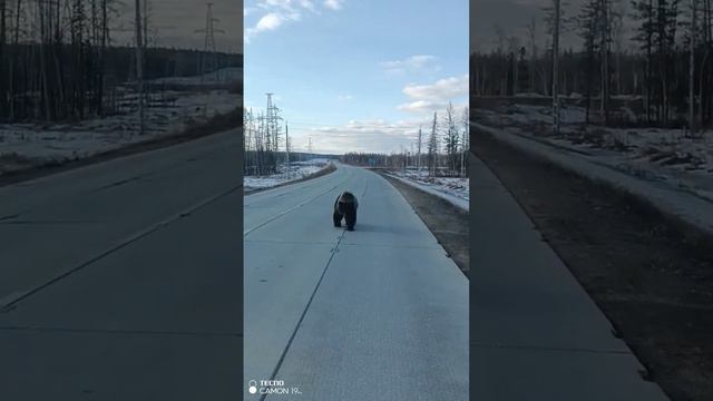 РОССИЯ РОДИНА МОЯ ТВ ОК. 2024. смотреть онлайн