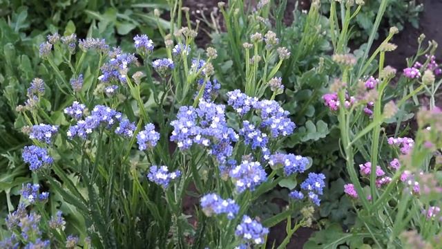 MAH01920 смотреть онлайн