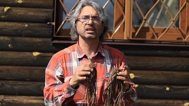 Виды спаржи и классы саженцев спаржи смотреть онлайн