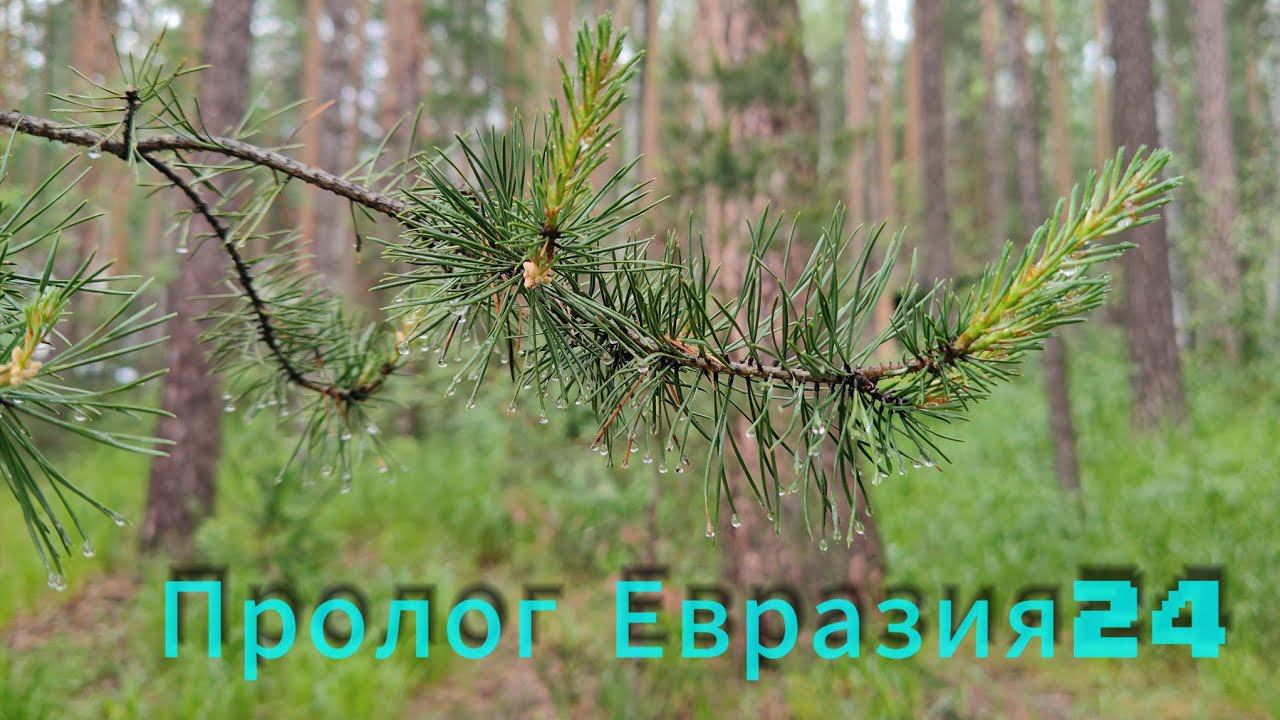 Евразия 2024 Пролог Взгляд с обочины