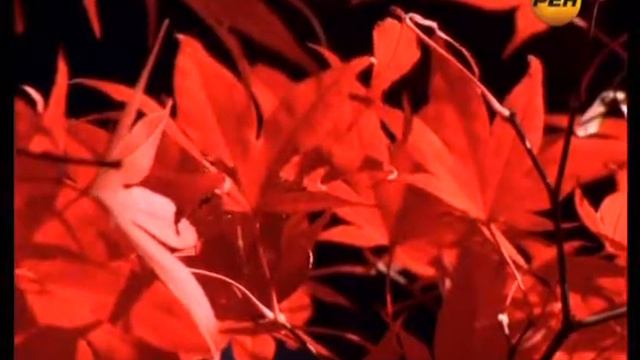 Пища богов выпуск 8 смотреть онлайн