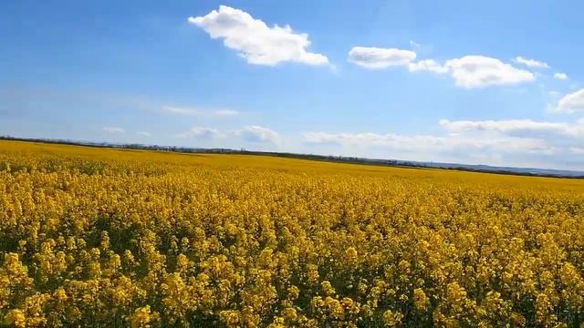 Где в Крыму купить дом. Когда лучше покупать недвижимость в Крыму смотреть онлайн