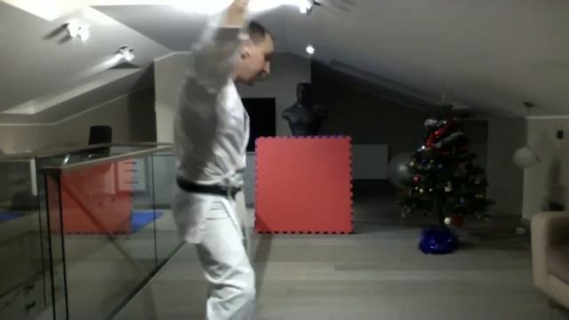 SK EDU-DO 22 KARATE ONLINE TRAINING. Coach-Konstantin Iljenko. смотреть онлайн