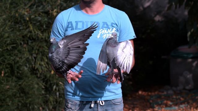 Wait for it ... :) 8000 fps смотреть онлайн