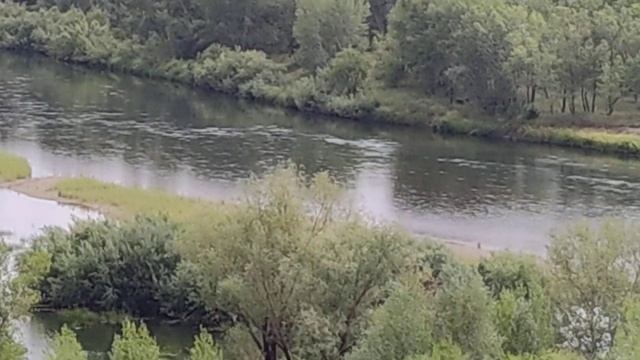 Город Семей, ленточный сосновый бор на берегу реки Иртыш. смотреть онлайн