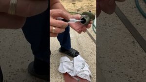 Смазка   редуктора триммера FS 55