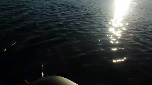 Сузуки 6ас работа на холостых смотреть онлайн