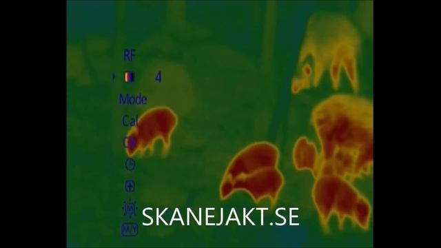 Pulsar Quantum XD50S смотреть онлайн