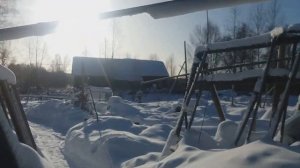 быт охотника.  капканы на лису и норку