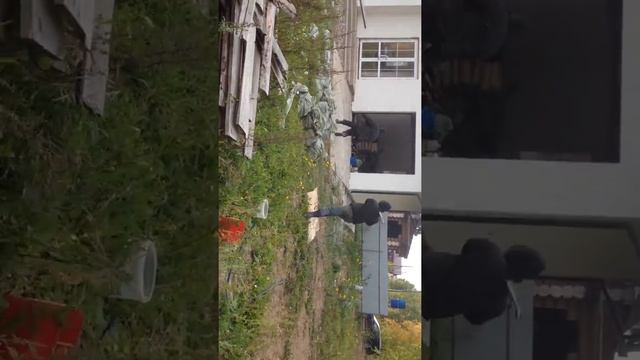 Электрический разряд смотреть онлайн