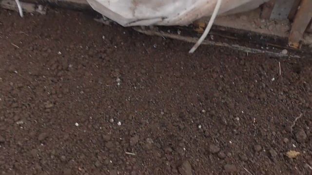 2 теплица стоит под парами