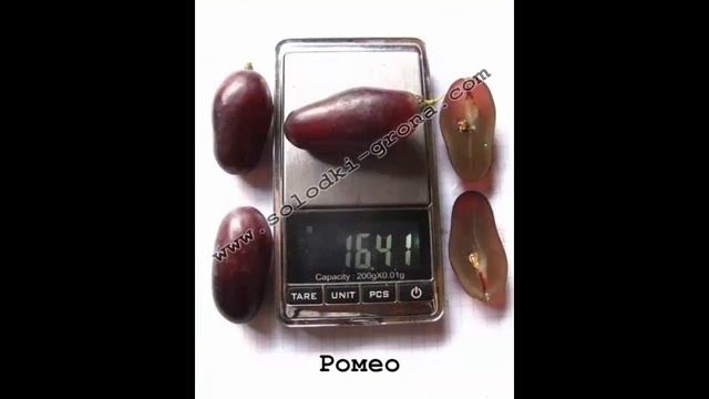 #Виноград от Сергея Гагина каталог9 смотреть онлайн