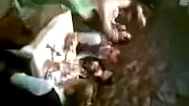 Узбечка танец Ставр смотреть онлайн