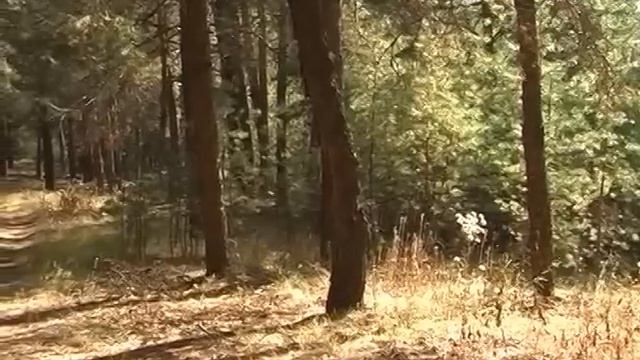 Достопримечательности заповедника "Воронинский" и его окрестностей (часть 1) смотреть онлайн