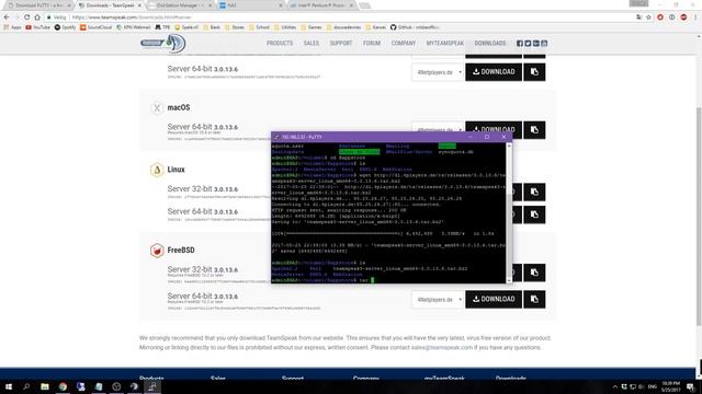 How To Make A Teamspeak 3 Server On A Synology Nas (2017)