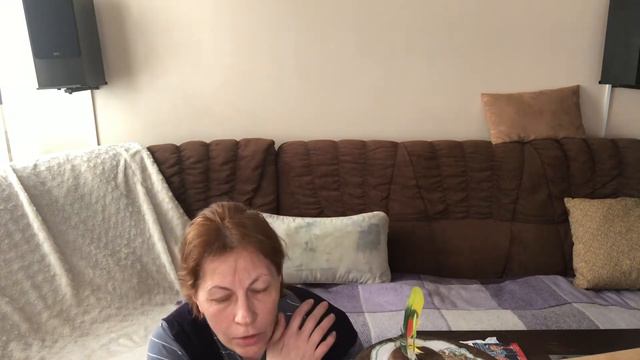 Пойдём поймаем попугая #попугай #parrot #амазон Буш смотреть онлайн