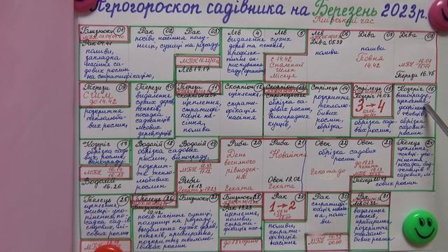 Що необхідно обов'язково зробитив садочку в березні 2023 року? смотреть онлайн