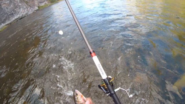 Два дня в ТАЙГЕ!!!Рыбалка на ХАРИУСА!!!Открытие осеннего сезона 2020!!!Бешеный КЛЕВ!!! Часть 1. смотреть онлайн