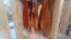 Коптим радужную форель и другую рыбу холодным копчением