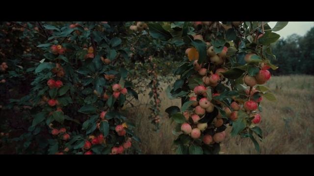 Гора исполнения желаний смотреть онлайн