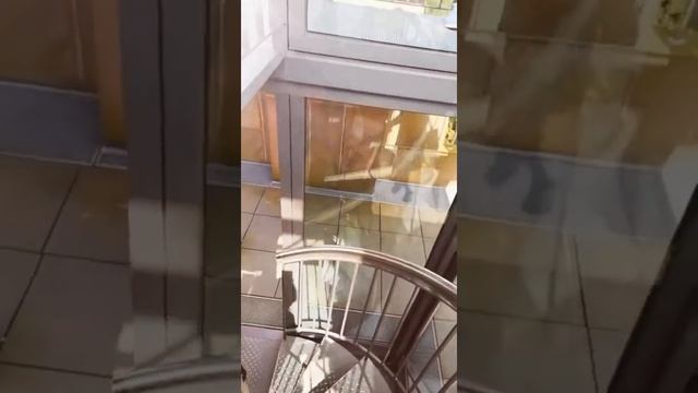 Schloss Drachenburg ( Замок Драхенбург в Кенигсвинтере, Северный Рейн-Вестфалия) . Драконий замок. смотреть онлайн