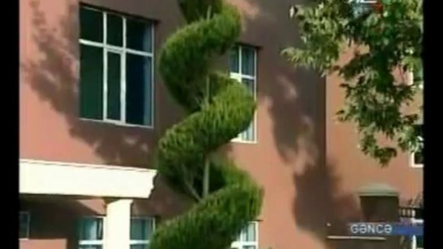 GƏNCƏ ГЯНДЖА GANJA смотреть онлайн