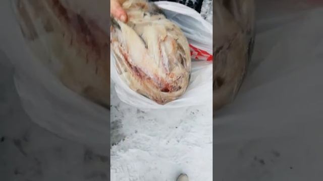 Детский сад,, золотой ключик 16 (кладовщик на личной машине вывозит продукты) смотреть онлайн