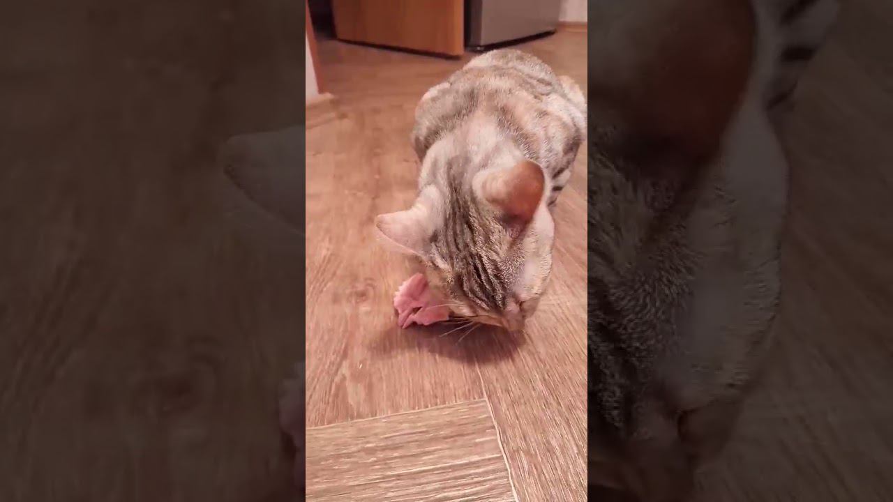 22 января 2020 г. смотреть онлайн