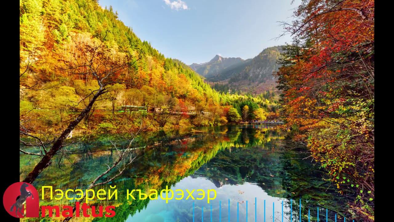 Пасэрей къафэхэр [Amaltus] смотреть онлайн