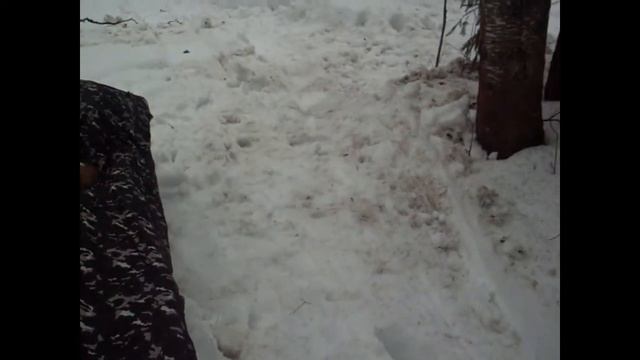 Щуки на жерлицы.Живу в палатке куб "БЕРЕГ" 3 дня!!! смотреть онлайн