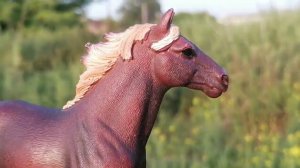 Сериал шляйх Любовь без границ серия 9 Пойманная