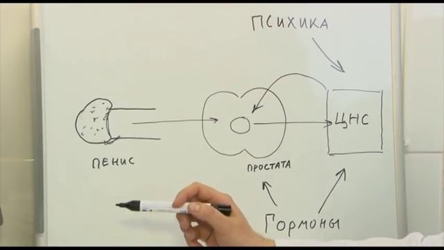 Преждевременное семяизвержение | Преждевременная эякуляция смотреть онлайн