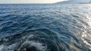 ?Мои Впечатления о Новом Спиннинге. Maximus Axiom X, 240 см, 3-15g. Морская Рыбалка. Сарган.