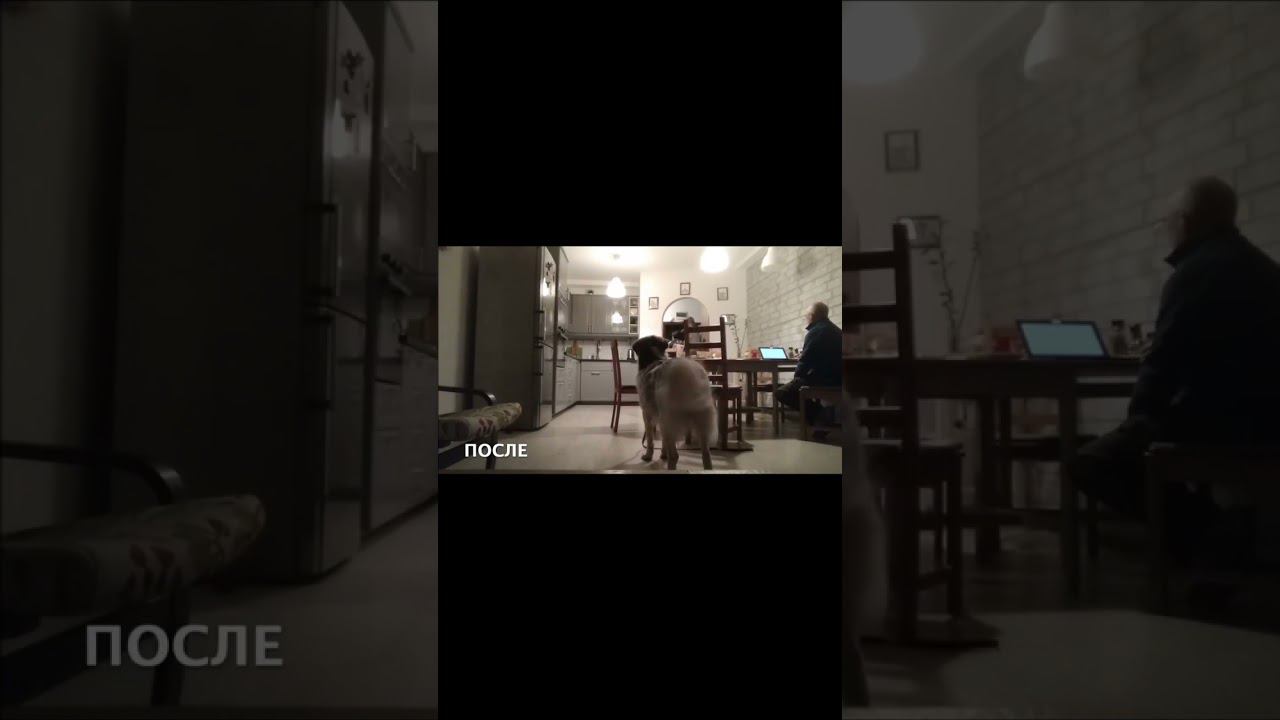 Приход гостей смотреть онлайн