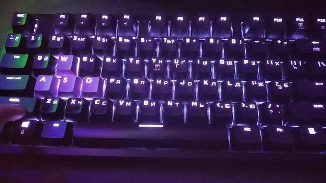 Звук опто-механической клавиатуры Hator Rockfall EVO TKL через 2 года после покупки смотреть онлайн