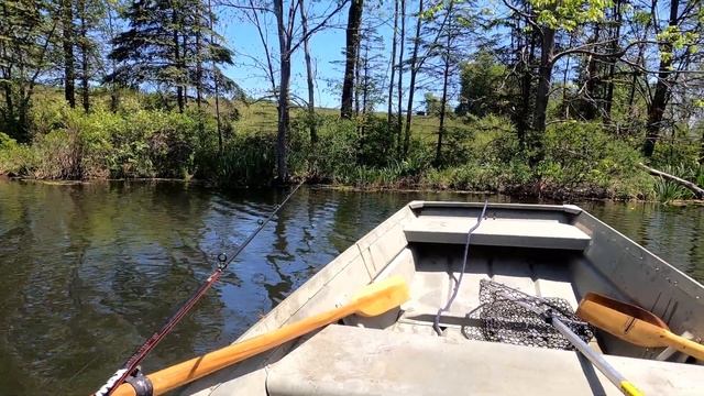 Fishing With Candy Gummy Worms...FAIL смотреть онлайн