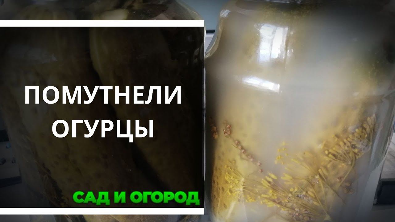 САД И ОГОРОД