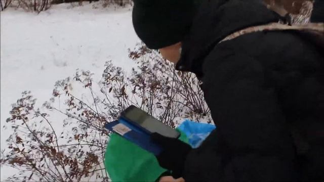 ЭкоТакси в Воронеже смотреть онлайн