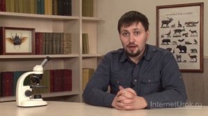 Класс Костные рыбы. Видеоурок по биологии 7 класс