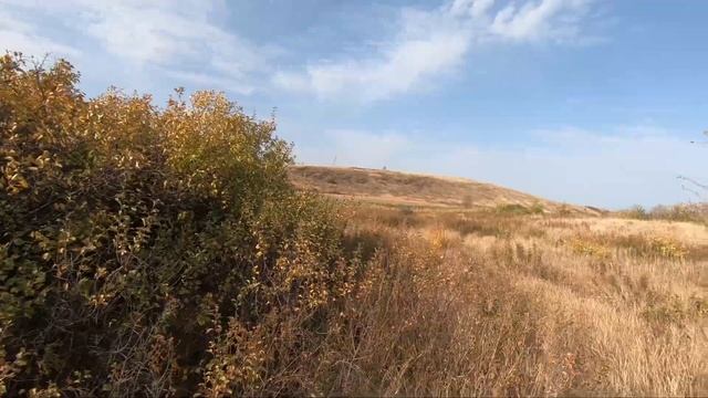 Охота на перепела, куропатку, и снова встреча с ушастым. смотреть онлайн