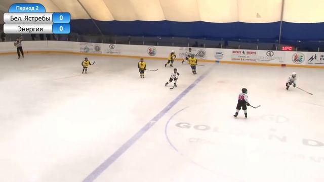Белые Ястребы(12) - Энергия(12) 16.03.2021г. смотреть онлайн