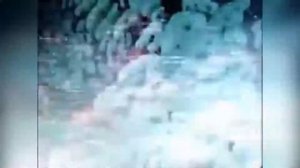 РОБЕРТ ШУМАН "ДЕД МОРОЗ"